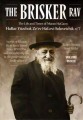 The Brisker Rav, Volume 3