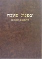 Tzafnat Pa'aneach on Masechet Bava Kama