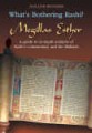 What's Bothering Rashi? Megillas Esther