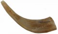 shofar