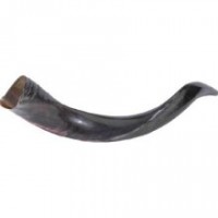 mini yeminite shofar